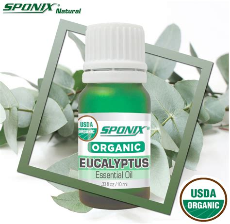 Eucalyptus Essential Oil Aromatherapy - USDA Certified Organic - Non ...