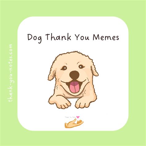 20 Cute Dog Thank You Meme: Excellent Affirmations