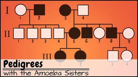 Genetics Pedigree Worksheet Answers - Abhayjere.com