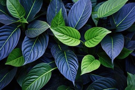 Premium AI Image | a vibrant green and blue plant up close