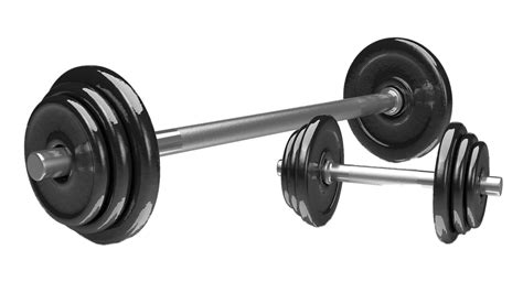 Dumbbell clipart weight lifting, Dumbbell weight lifting Transparent ...