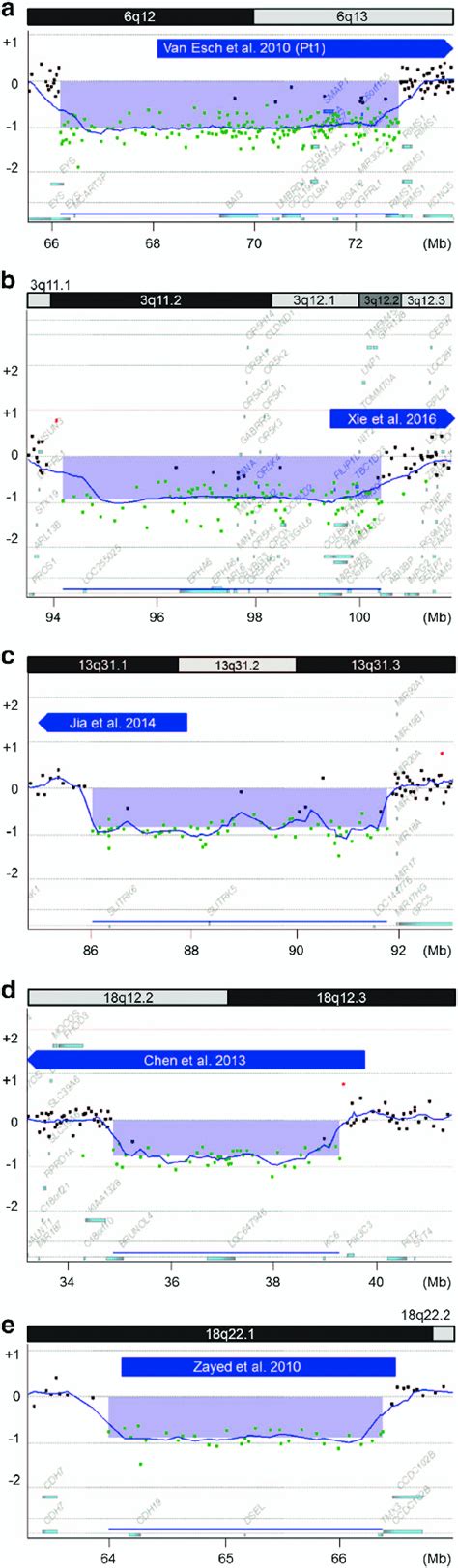 Chromosomal microarray testing results. The identified deletions are ...