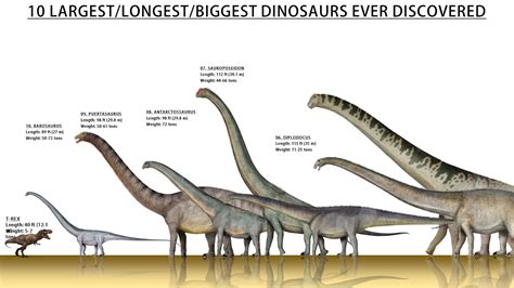 Top 10 Largest Dinosaurs Ever Found Till 2022 - YouTube