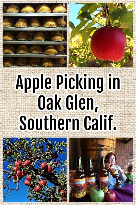 Make a day of apple picking in Oak Glen, California. Bring the family ...