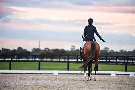 Hoofpick | Advance Your Dressage Movements