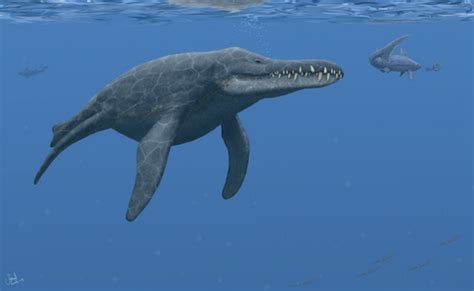 Explore the Best Pliosaurus Art | DeviantArt