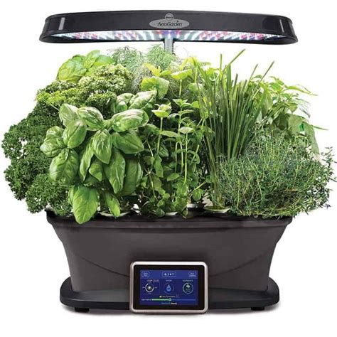 The Best Indoor Herb Garden Kits | Indoor Gardening