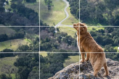 What is the Rule of Thirds? (And How to Use it in Photos)