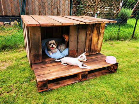 Diy Dog House Pallets - Stylish Diy Pallets Dog House Ideas ...