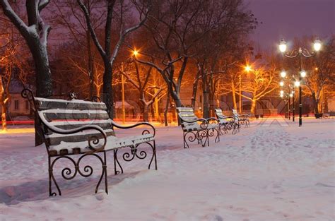 Row of benches in park at winter ... | Stock image | Colourbox