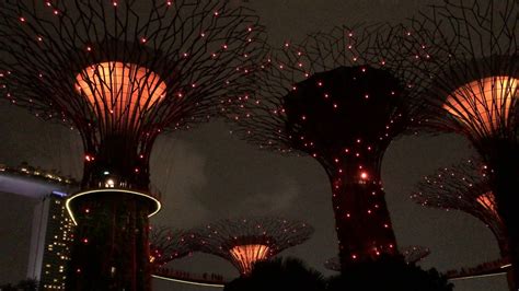 Garden Rhapsody Light Show - Supertree Grove - Singapore - YouTube