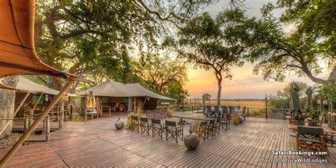 Top 10 Best Okavango Delta Luxury Safari Lodges & Camps – SafariBookings