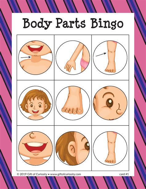 Body Parts Bingo Game | Body parts preschool, Body preschool, Body ...