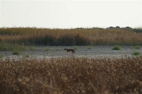 The intricate web of nature protection in Hatay - biking4biodiversity.org