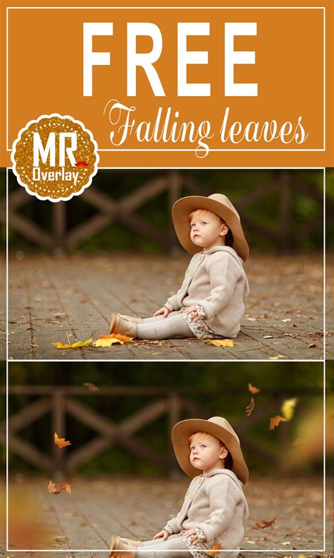 Free falling leaves overlays mroverlay – Artofit