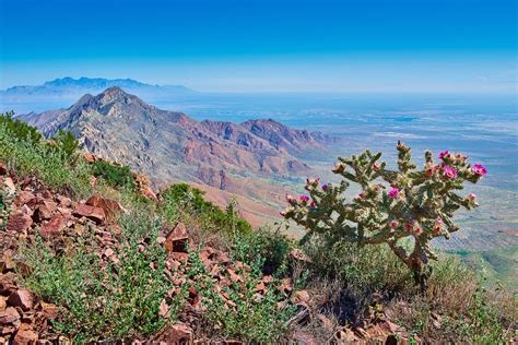 Franklin Mountains State Park — Celebration of Our Mountains | State ...