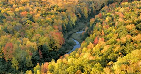 The Best Time to See Fall Colors in Upper Michigan | North of Bleu