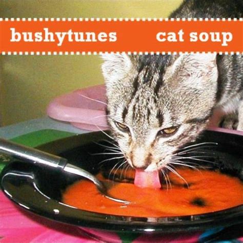 cat soup | bushytunes