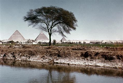 The Nile & Pyramids At Giza Photograph by Granger - Pixels