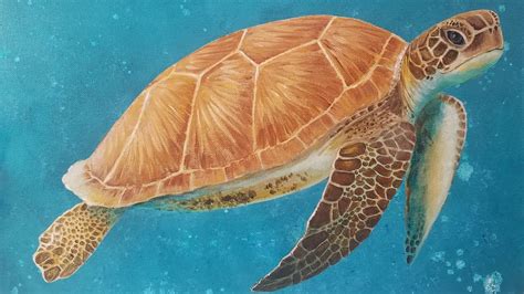 Turtle Acrylic Painting