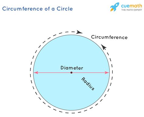 Circumference - Formula, Examples | Circumference of Circle