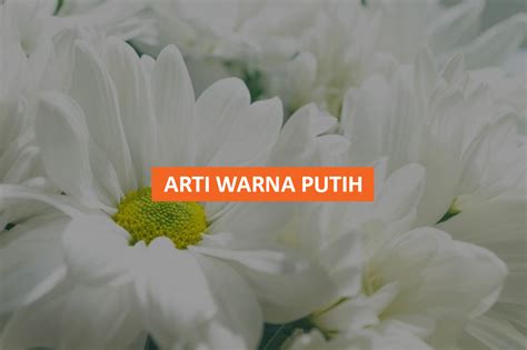 Arti Warna Putih, Karakter Serta Maknanya Dalam Ungkapan