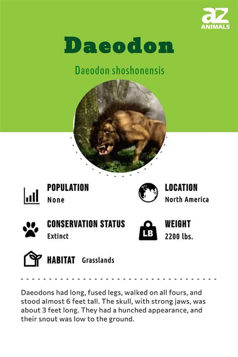 Daeodon - A-Z Animals