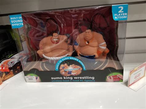 Remote-controlled Sumo Wrestlers : r/funny