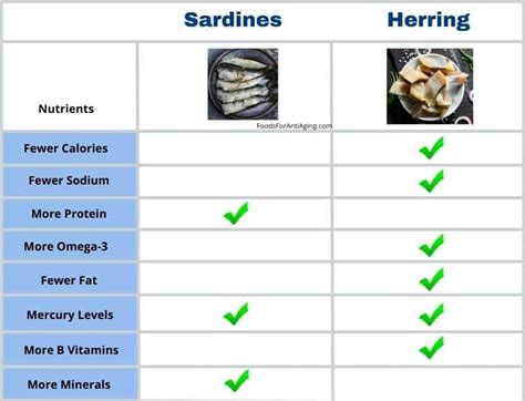 Herring vs Sardines – What’s The Difference? Let’s Compare