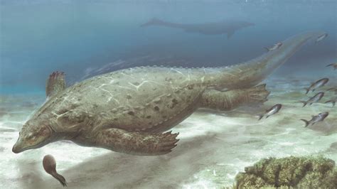 Prehistoric Marine Reptiles