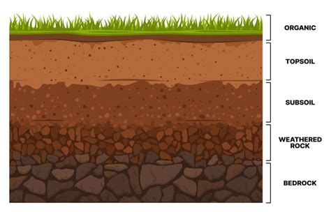 What Is the Difference Between Topsoil and Subsoil? - FarmingThing.com