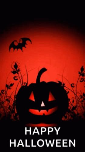 Halloween Pumpkin GIF - Halloween Pumpkin Bat - Discover & Share GIFs