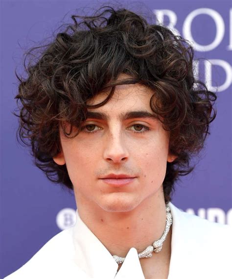 Timothee Chalamet Hairstyle With Curls - TheHairStyler.com