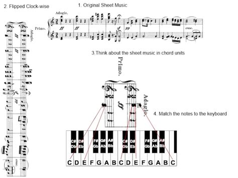 How to Read Piano Notes & Sheet Music: 5 Easy Steps for Beginners