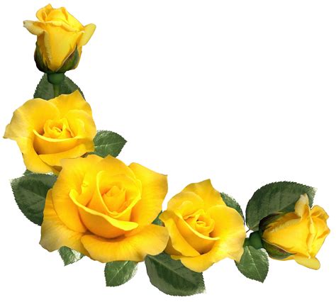 Yellow Flower Aesthetic Png