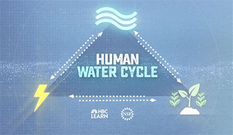 Human Water Cycle: Water, Food & Energy | Share My Lesson