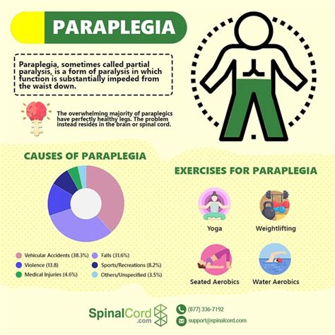 Living with Paraplegia: Recovery, Treatments, Exercises, and More