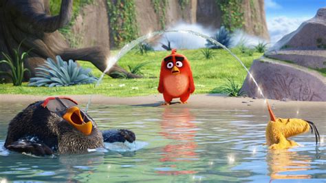 The Angry Birds Movie Latest, HD Movies, 4k Wallpapers, Images ...