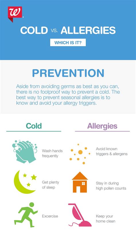 Best Way To Prevent A Cold - Just For Guide