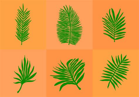 Palm Leaf Isolated - Download Free Vector Art, Stock Graphics & Images