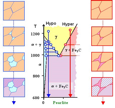 7.2.1 Hypo and Hyper