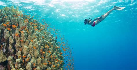 Best Snorkeling in Hawaii | Insider Families