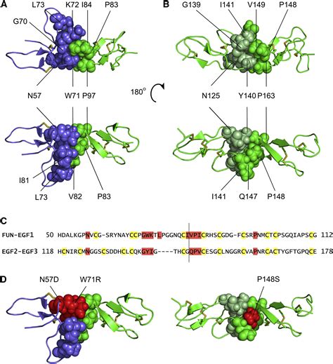 Structure of the Fibrillin-1 N-Terminal Domains Suggests that Heparan ...