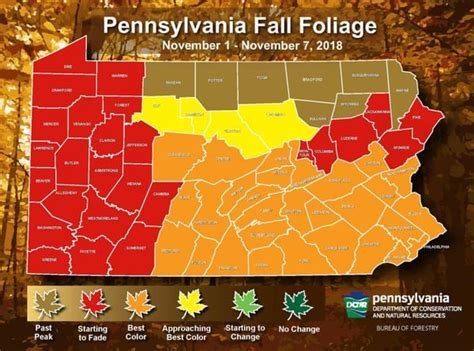 Fall foliage finally pops in Pennsylvania - pennlive.com