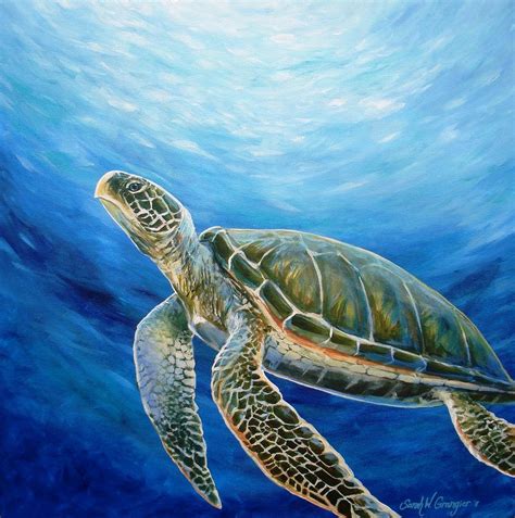 Sea Turtle Art