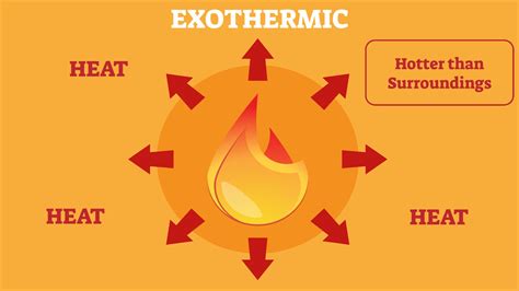 Exothermic Reaction Examples Found in Real Life | YourDictionary