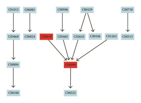 (a) beta-Alanine metabolism, (b) glycerolipid metabolism, (c) alanine ...