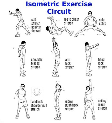 Isometric Exercise Circuit | Isometric exercises, Exercise, Body weight ...