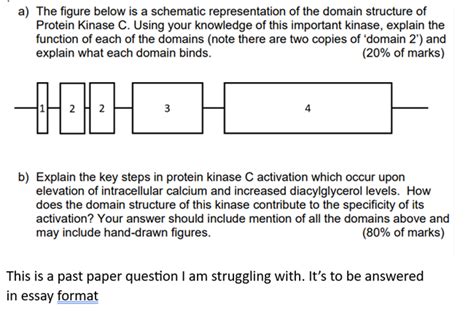 Solved a) The figure below is a schematic representation of | Chegg.com