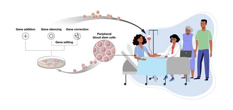 Understanding gene therapy approaches